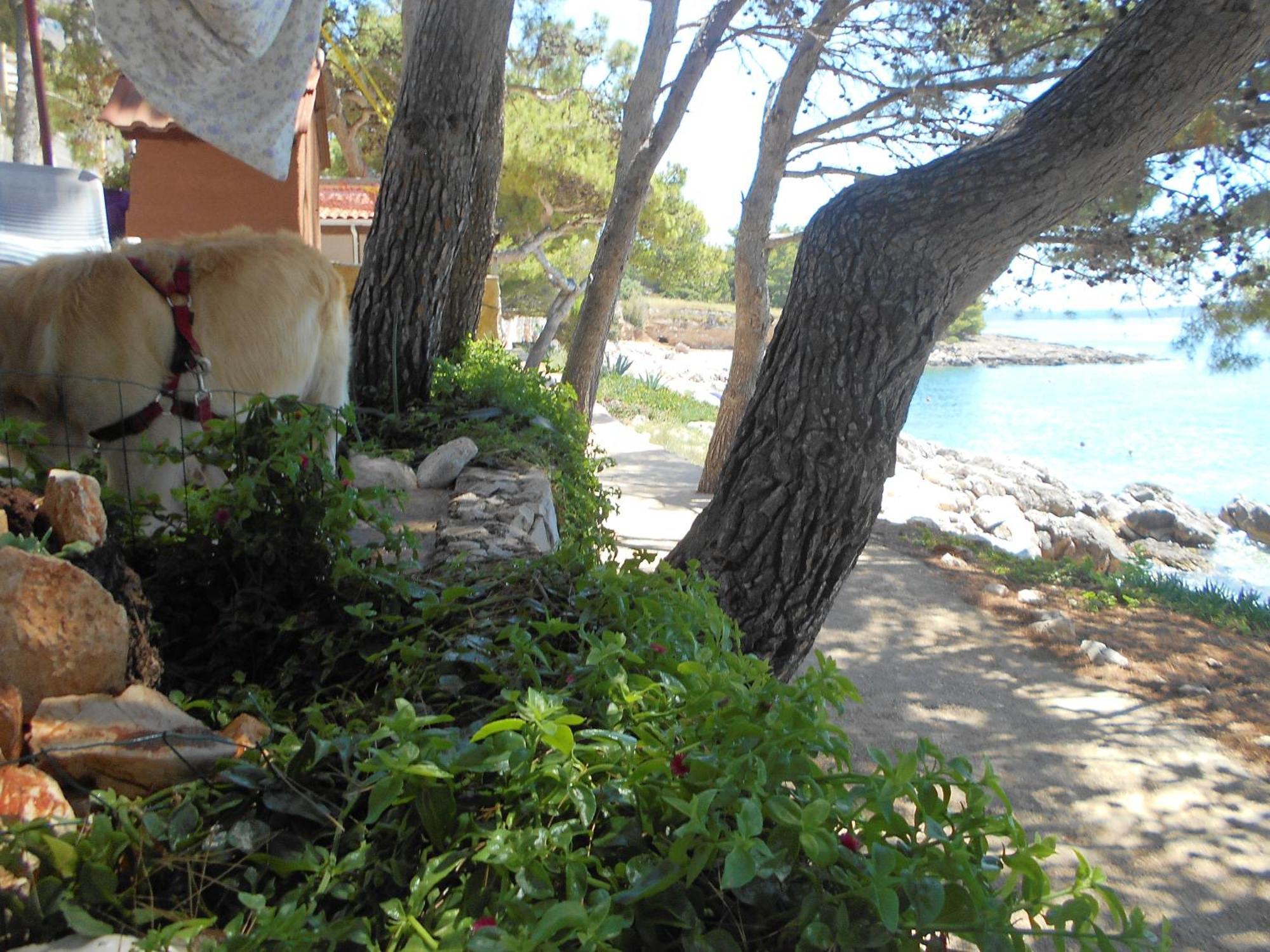 Apartments Dunja Hvar Ivan Dolac Exterior foto